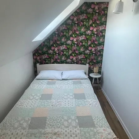 Sowi Kat I Mikołajki
